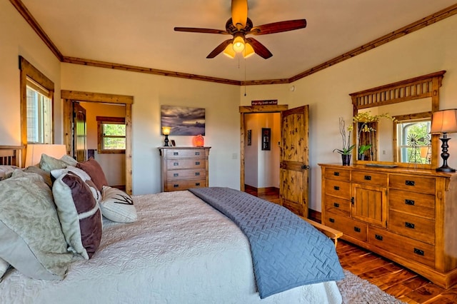 bedroom with multiple windows, ornamental molding, dark wood-style flooring, and a ceiling fan