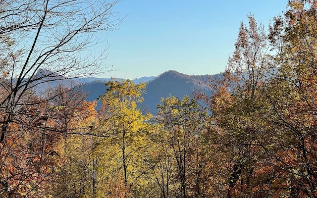 58M Mountain Harbour Dr, Hayesville NC, 28904 land for sale