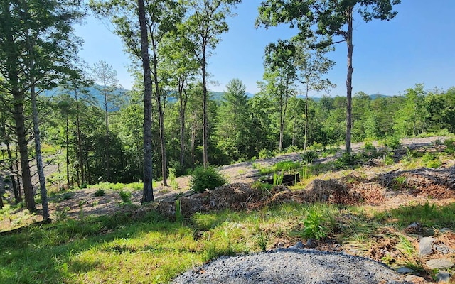 Listing photo 2 for LOT18 Mountain Laurel Rdg, Mineral Bluff GA 30559