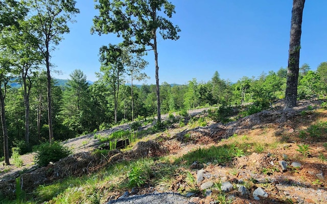 Listing photo 3 for LOT18 Mountain Laurel Rdg, Mineral Bluff GA 30559