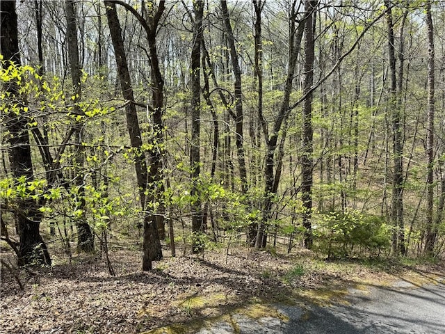 3 Meadowlands Dr, Talking Rock, GA 30175
