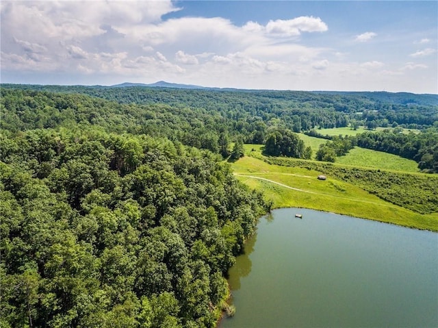 3 Meadowlands Dr, Talking Rock, GA 30175