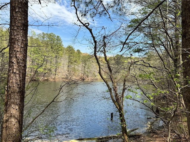 3 Meadowlands Dr, Talking Rock, GA 30175
