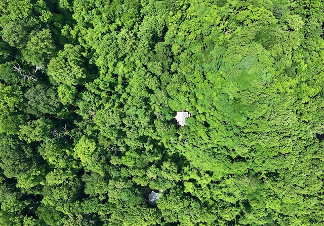 view of drone / aerial view