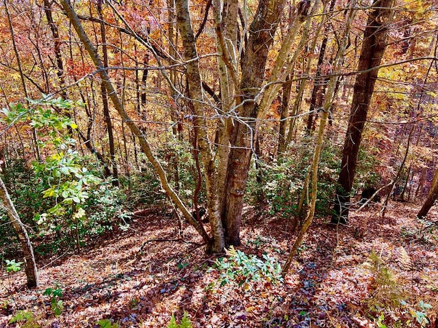 13 Up The Ridge Rd, Blairsville GA, 30512 land for sale