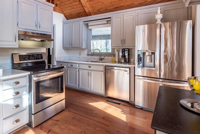 kitchen with under cabinet range hood, stainless steel appliances, wood finished floors, a sink, and vaulted ceiling