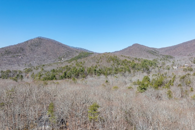 property view of mountains