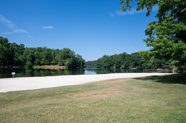 water view with a forest view