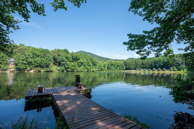 view of dock with a forest view and a water view