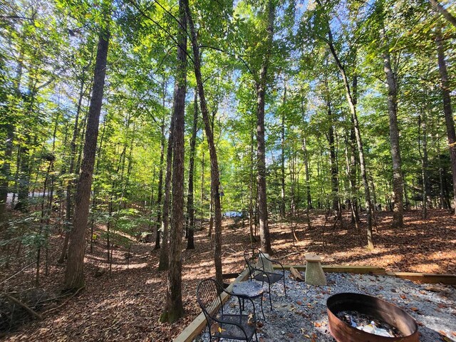 view of yard featuring a fire pit