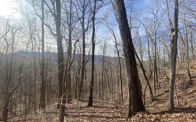 Listing photo 2 for TR.1 Caesar Gap Rd, Hiawassee GA 30546