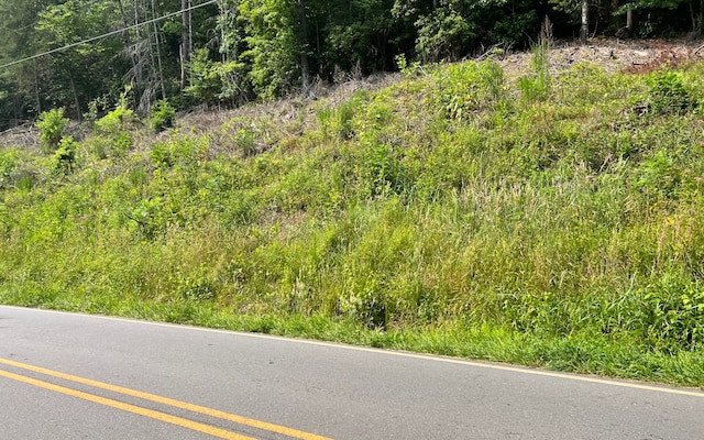 LOT3 Fires Creek Rd, Hayesville NC, 28904 land for sale