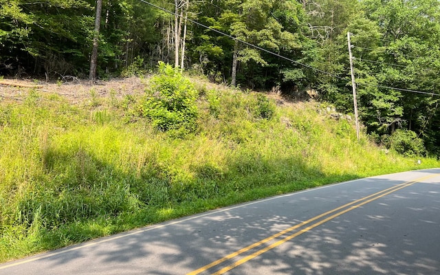 Listing photo 3 for LOT3 Fires Creek Rd, Hayesville NC 28904