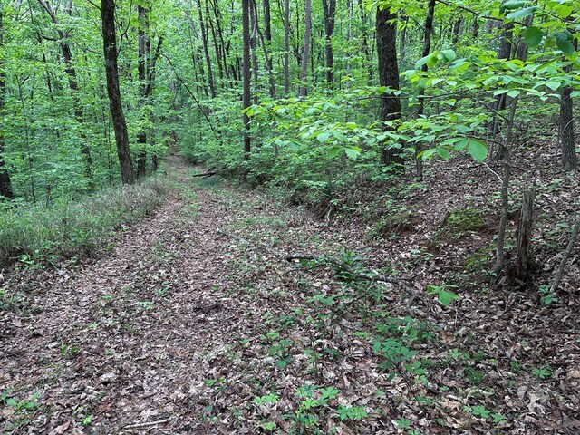 TR1TR3 Flat Branch Trl, Ellijay, GA 30540