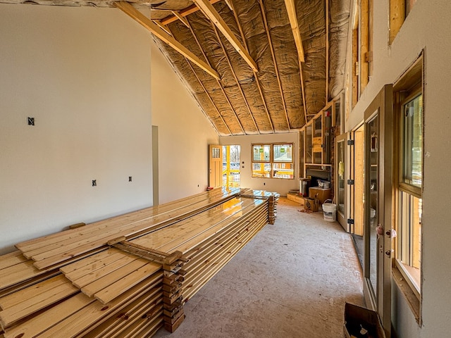 miscellaneous room with vaulted ceiling