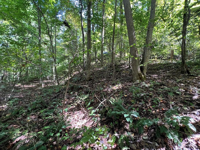 LOT15 Shepherd Dr, Hayesville, NC 28904