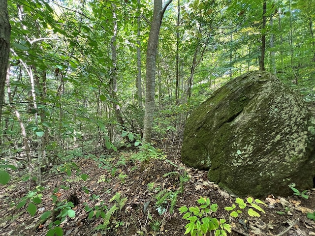 LOT15 Shepherd Dr, Hayesville, NC 28904