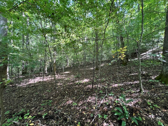 LOT15 Shepherd Dr, Hayesville, NC 28904