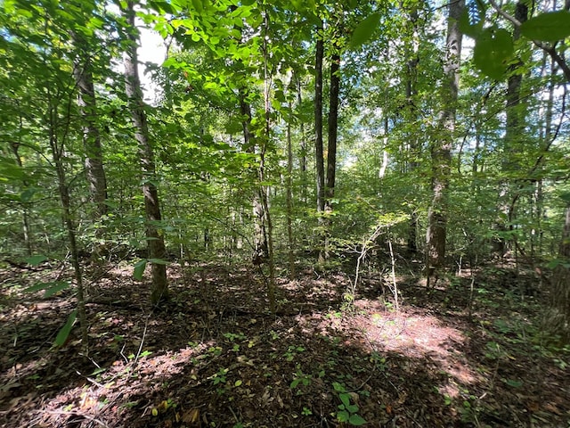 LOT15 Shepherd Dr, Hayesville, NC 28904