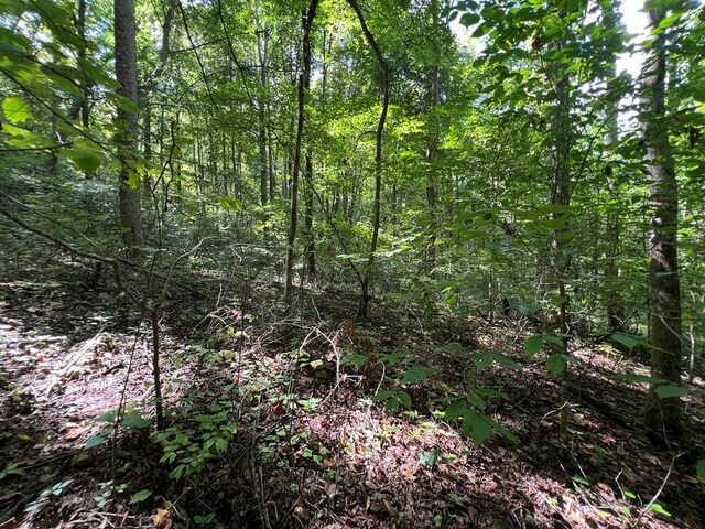 LOT15 Shepherd Dr, Hayesville, NC 28904