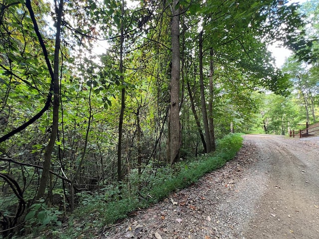 LOT15 Shepherd Dr, Hayesville, NC 28904
