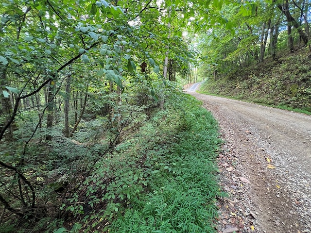 LOT15 Shepherd Dr, Hayesville, NC 28904