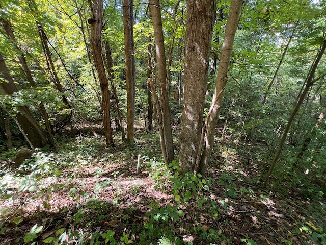 LOT15 Shepherd Dr, Hayesville, NC 28904