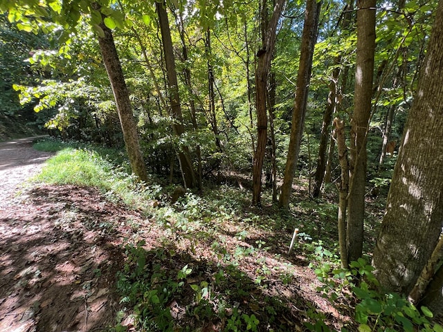 LOT15 Shepherd Dr, Hayesville, NC 28904