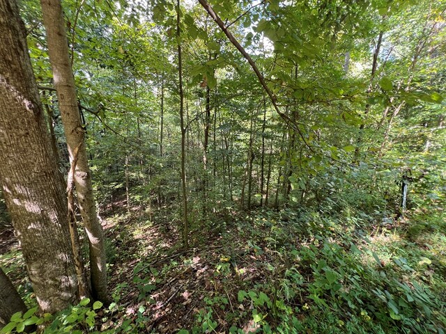 LOT15 Shepherd Dr, Hayesville, NC 28904