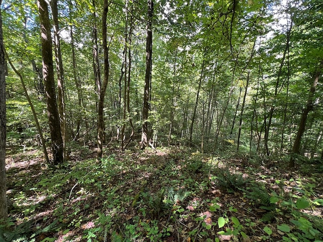 LOT15 Shepherd Dr, Hayesville, NC 28904