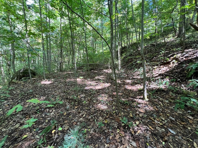 LOT15 Shepherd Dr, Hayesville, NC 28904
