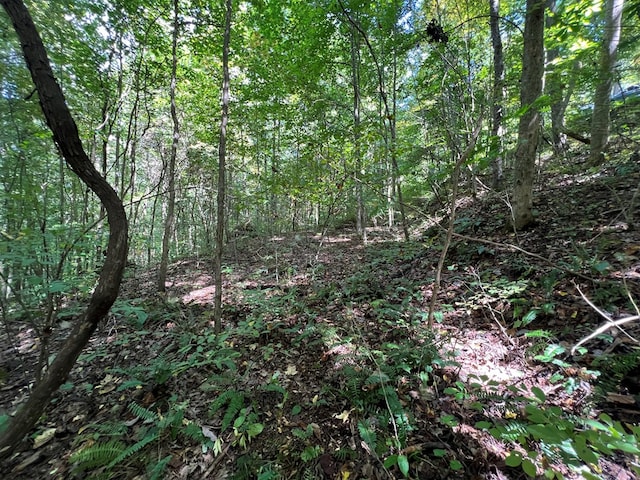 LOT15 Shepherd Dr, Hayesville, NC 28904