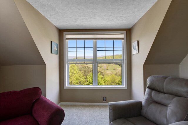 sitting room with vaulted ceiling, carpet, and a textured ceiling