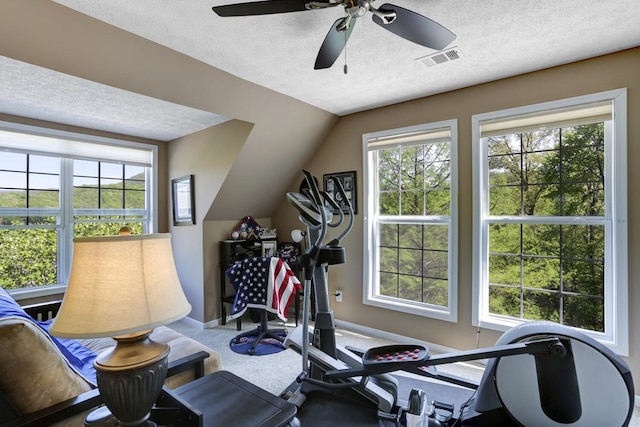 exercise area with ceiling fan, lofted ceiling, and a wealth of natural light