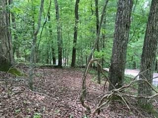 LOT1667 Fugue Dr, Ellijay GA, 30540 land for sale