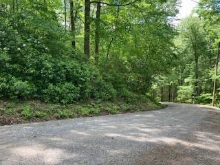 Listing photo 2 for LOT1667 Fugue Dr, Ellijay GA 30540