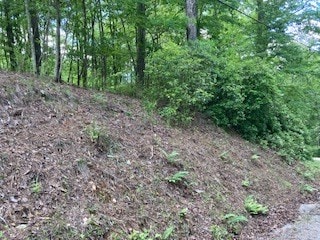 Listing photo 3 for LOT1667 Fugue Dr, Ellijay GA 30540