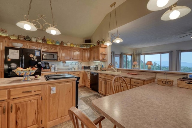 645 E Double Knob Dr, Hayesville, NC 28904 - kitchen with black appliances, a sink, light countertops, open shelves, and vaulted ceiling