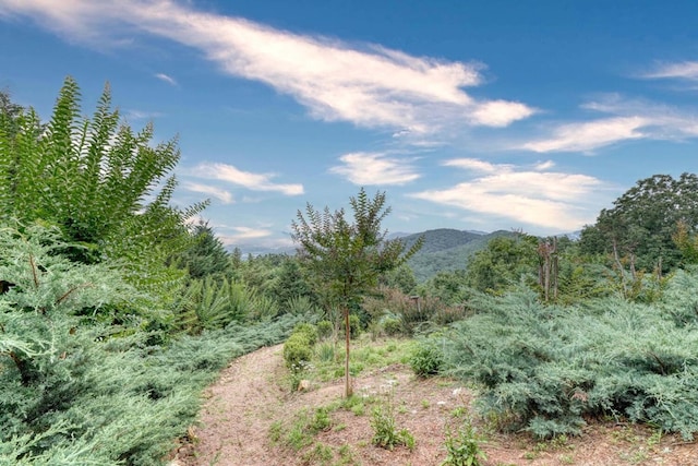 645 E Double Knob Dr, Hayesville, NC 28904 - mountain view