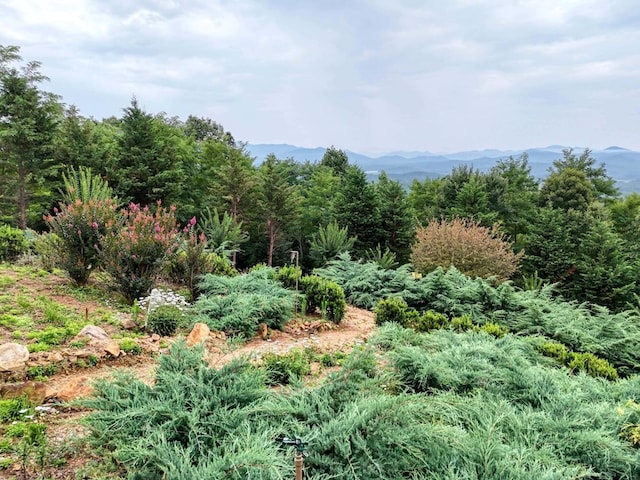 645 E Double Knob Dr, Hayesville, NC 28904 - view of mountain background