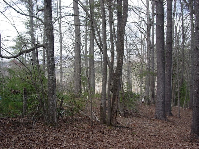 Listing photo 2 for TRACT3 Hf Lyons Rd, Hiawassee GA 30546