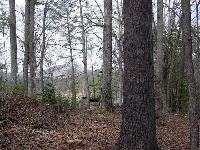 Listing photo 3 for TRACT3 Hf Lyons Rd, Hiawassee GA 30546