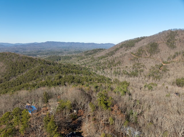 view of mountain feature