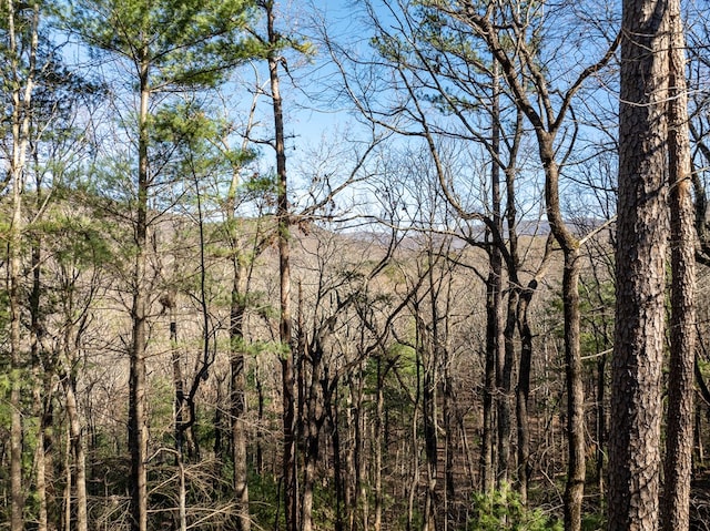 view of local wilderness