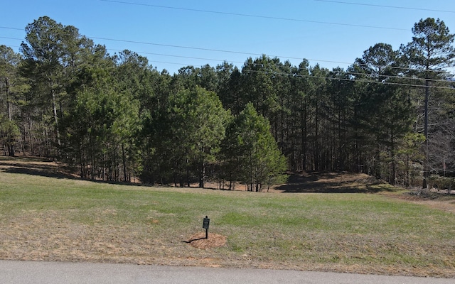 LT38 Sanctuary Dr, Blairsville GA, 30512 land for sale