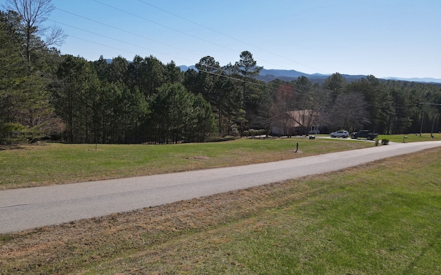 Listing photo 3 for LT38 Sanctuary Dr, Blairsville GA 30512