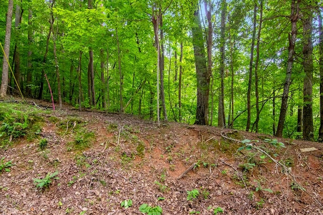 LTJ350 Walnut Mtn, Ellijay GA, 30540 land for sale