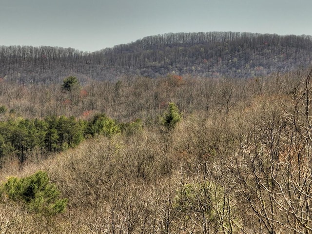 Listing photo 2 for 33 Fannin Overlook, Blairsville GA 30512