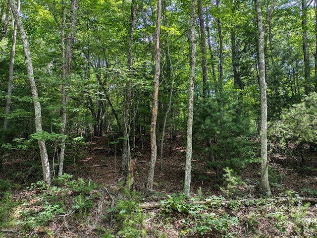 LOT6 Horvath Rd, Murphy NC, 28906 land for sale