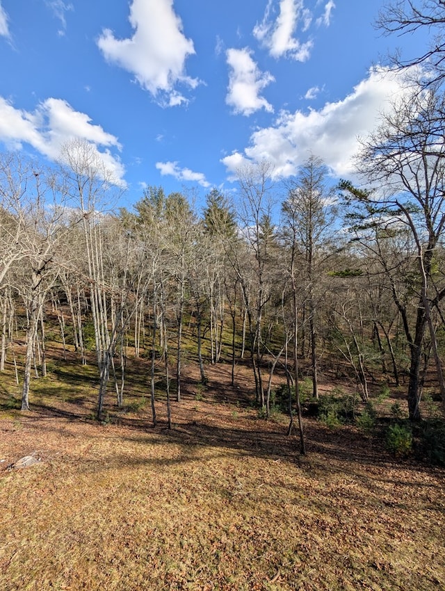 181 Charles Ln, Morganton, GA 30560 - view of yard